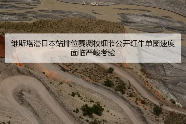 维斯塔潘日本站排位赛调校细节公开红牛单圈速度面临严峻考验